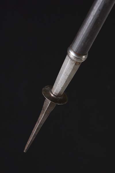 Halberd, lifeguard of Duke Johann Georg